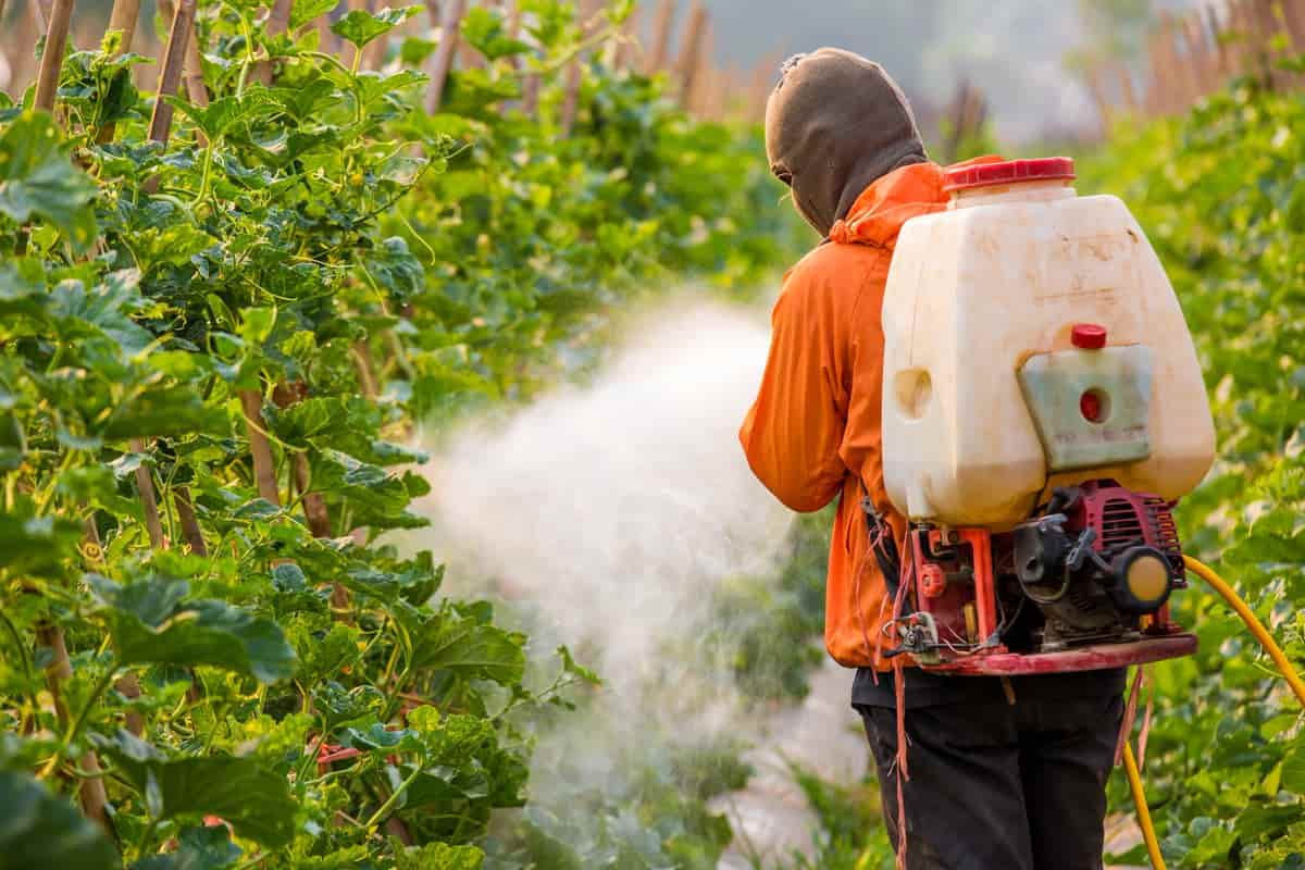  أنواع جهاز رش المبيدات بالدخان في قطاع الزراعي 