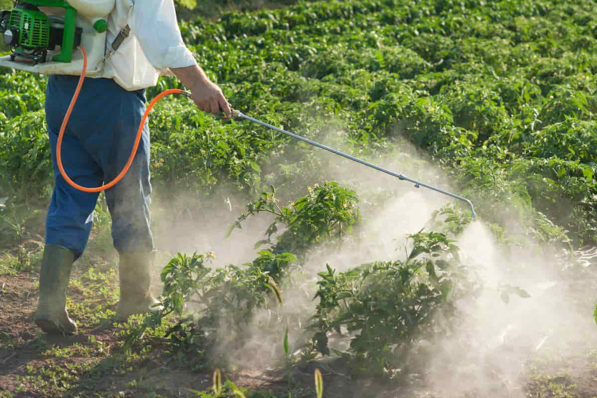  أنواع جهاز رش المبيدات بالدخان في قطاع الزراعي 